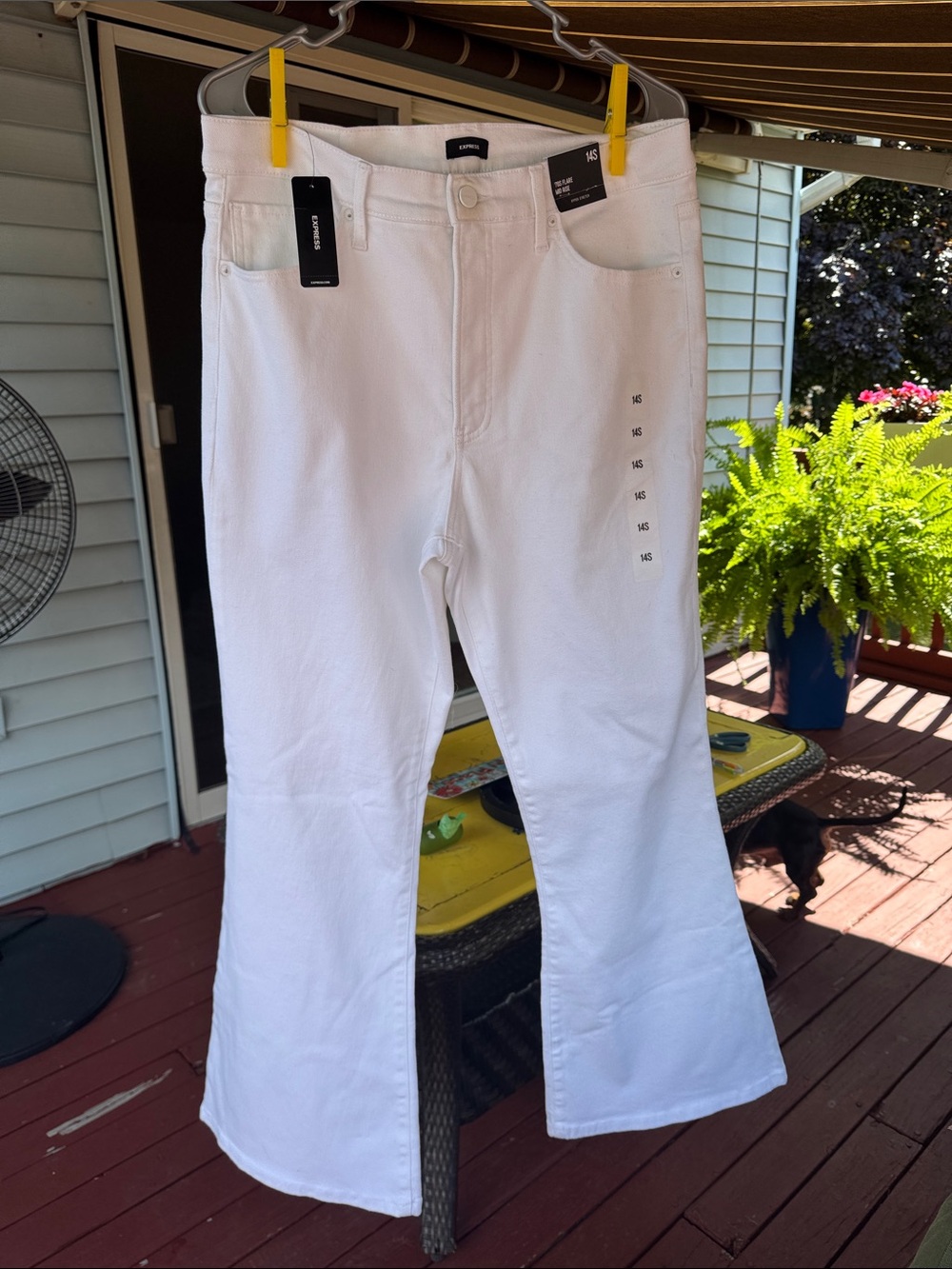 Express White Flare Jeans - Clean Classic Fit